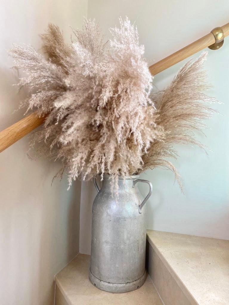 Wedding Pampas Decor Bulk Buy